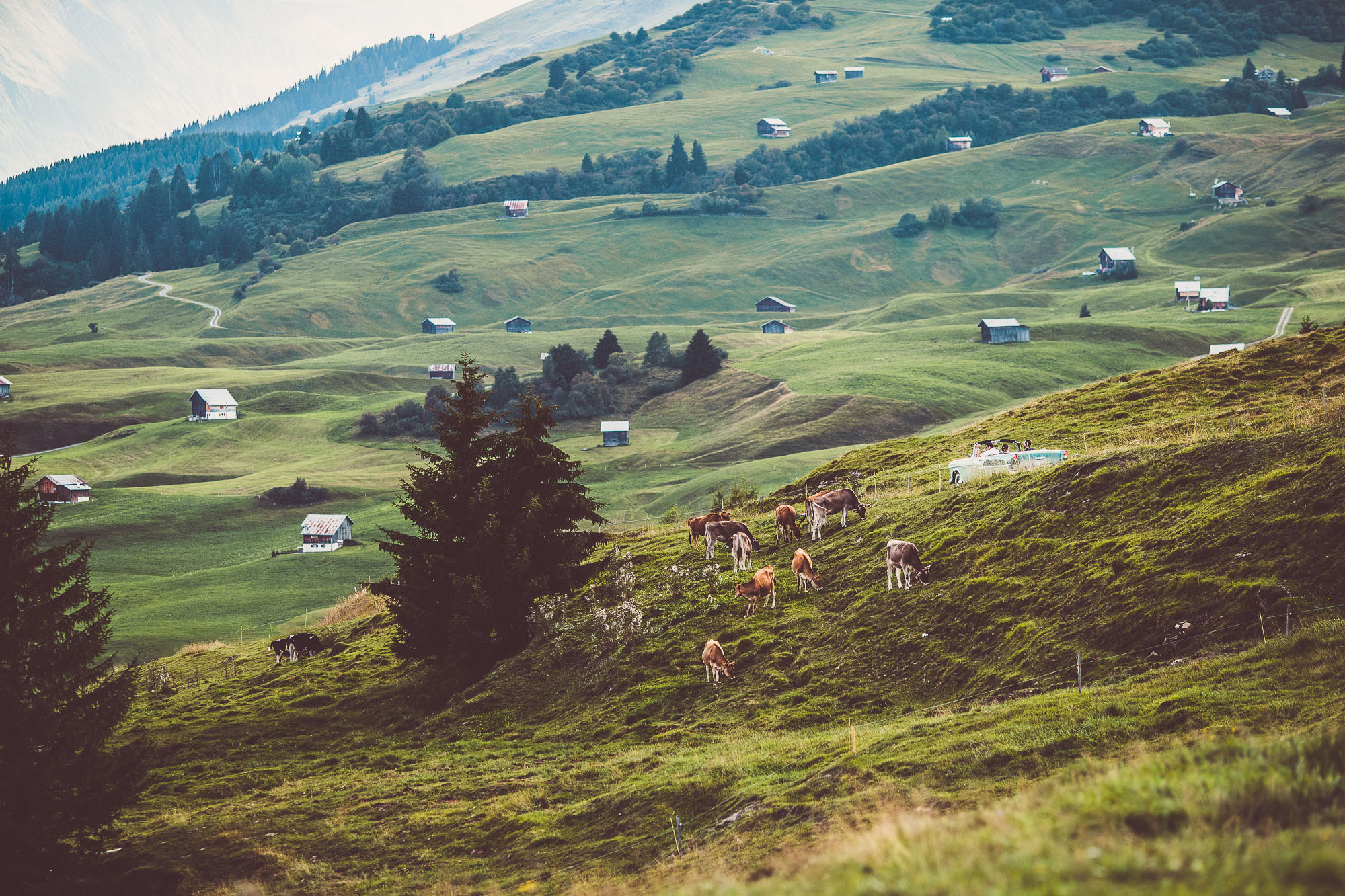 Apero 025 Flurina & Philipp